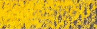 2+1! Pastela sucha w kredce Caran dAche - 530 Gold Cadm. Yellow